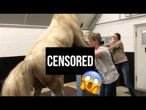 woman fucks horse|Horse fucks naked woman and makes her scream until the orgasm